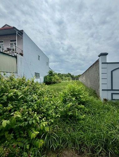 VỠ NỢ CẦN BÁN GẤP LÔ ĐẤT FULL THỔ CƯ 249m2 NHỰA THÁI MỸ GIÁ 750 TRIỆU