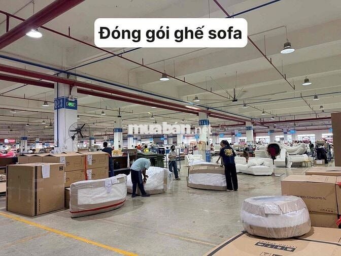 tuyển dụng lao động phổ thông