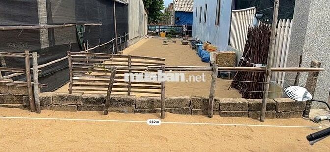CHÍNH CHỦ BÁN ĐẤT THỔ CƯ SÁT BIỂN HOÀI NHƠN ĐÔNG CHỈ 50M ĐI BỘ RA BIỂN