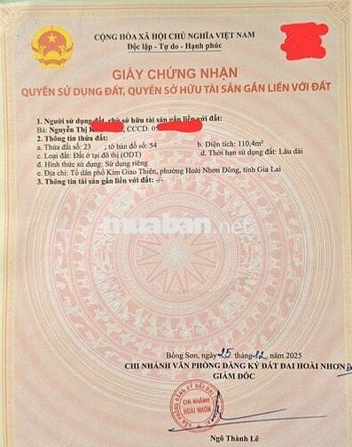 CHÍNH CHỦ BÁN ĐẤT THỔ CƯ SÁT BIỂN HOÀI NHƠN ĐÔNG CHỈ 50M ĐI BỘ RA BIỂN