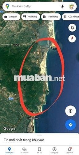CHÍNH CHỦ BÁN ĐẤT THỔ CƯ SÁT BIỂN HOÀI NHƠN ĐÔNG CHỈ 50M ĐI BỘ RA BIỂN