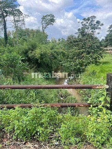 CHÍNH CHỦ CẦN BÁN LÔ ĐẤT ĐƯỜNG 329  XÃ XUYÊN MỘC - BÀ RỊA VŨNG TÀU