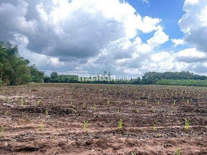 CHÍNH CHỦ CẦN BÁN LÔ ĐẤT ĐƯỜNG 329  XÃ XUYÊN MỘC - BÀ RỊA VŨNG TÀU