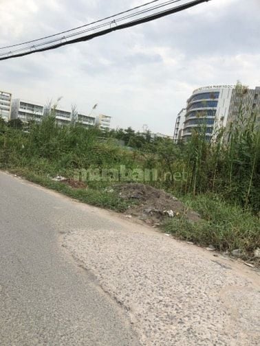 Ban gấp 300 thổ cư,gần nhi đồng 3 bình Chánh, gia 4tỷ8