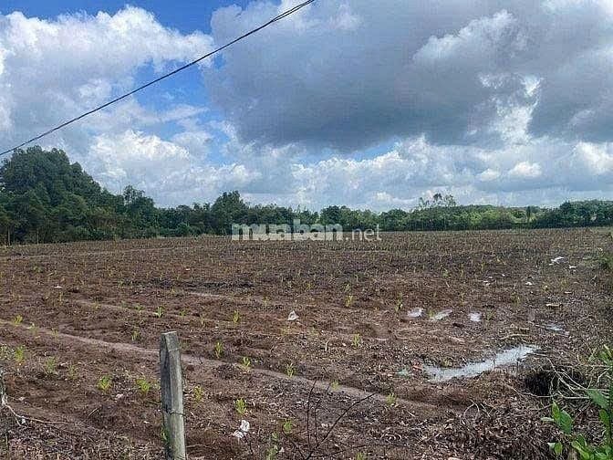 CHÍNH CHỦ CẦN BÁN LÔ ĐẤT ĐƯỜNG 329  XÃ XUYÊN MỘC - BÀ RỊA VŨNG TÀU