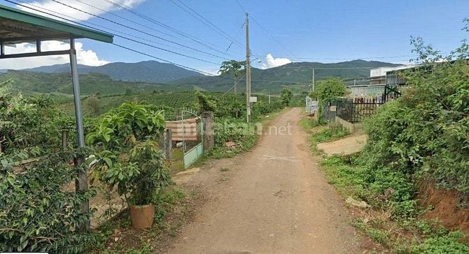 Cần Bán Gấp Đất Vườn xã Gung Ré huyện Di Linh tỉnh Lâm Đồng 6115M2 Sẵn