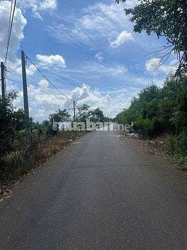 CHÍNH CHỦ CẦN BÁN LÔ ĐẤT ĐƯỜNG 329  XÃ XUYÊN MỘC - BÀ RỊA VŨNG TÀU