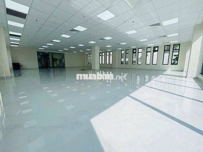 🏢 CHO THUÊ TÒA NHÀ MẶT TIỀN ĐƯỜNG MAI THỊ LỰU DT 16,5 X 25M  QUẬN 1