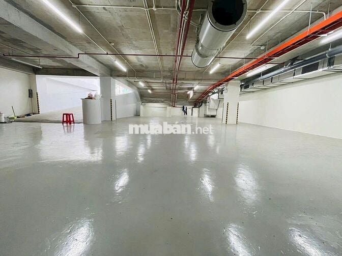 🏢 CHO THUÊ TÒA NHÀ MẶT TIỀN ĐƯỜNG MAI THỊ LỰU DT 16,5 X 25M  QUẬN 1