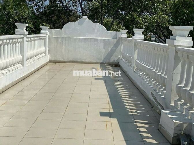 HIẾM CÓ KHÓ TÌM - 65C Đường 3/2 P11, Q.10 - 5x20m - 5 lầu - 600m2 sàn