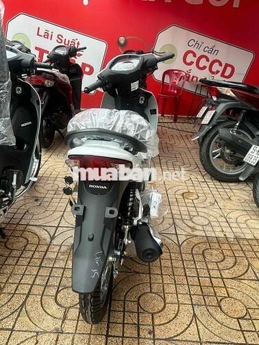 Honda Wave Alpha 110 Trắng