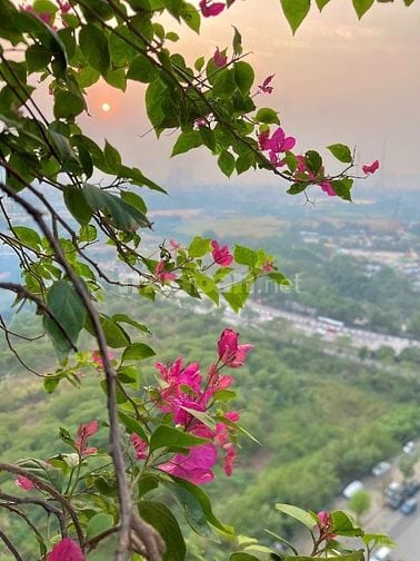 🏡 STUDIO XINH XẮN CHO THUÊ NGẮN HẠN & DÀI HẠN – VINHOMES GREEN BAY 