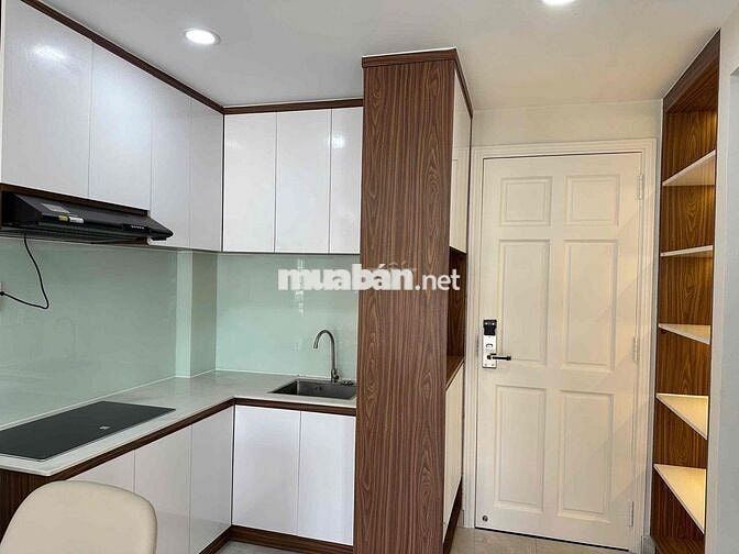 Căn hộ 1PN cao cấp ngay Phú Mỹ Hưng Quận 7