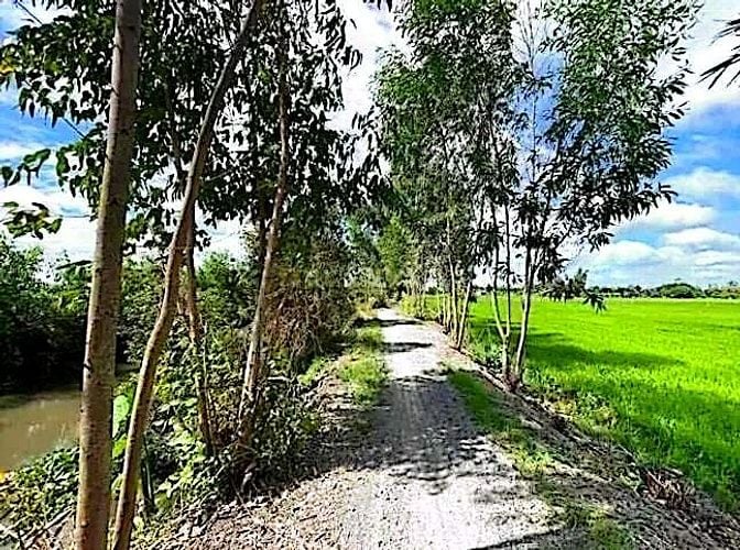 Công ty Đấu giá hợp danh Lam Sơn Sài Gòn thông báo đấu giá tài sản