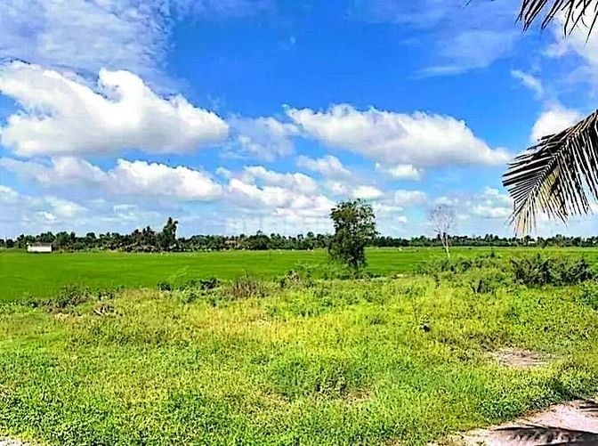 Công ty Đấu giá hợp danh Lam Sơn Sài Gòn thông báo đấu giá tài sản