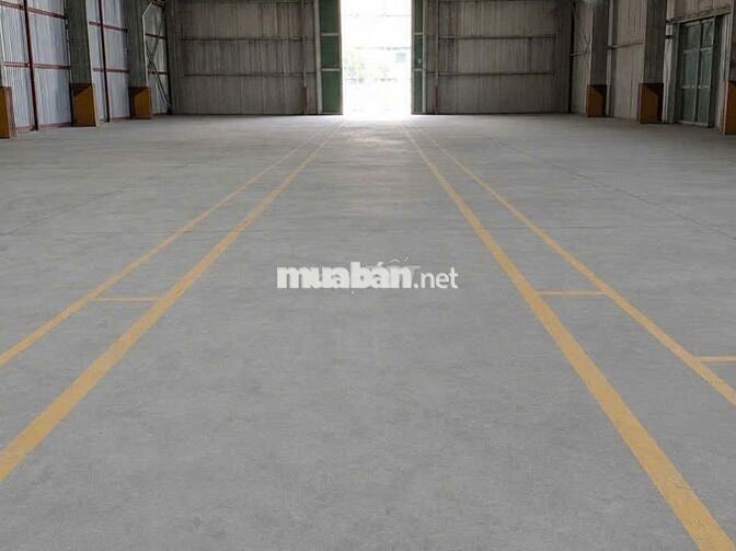 Cho thuê kho Nguyễn Văn Quỳ – 1200m2 – tách diện tích linh hoạt 