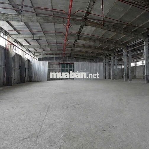 Cho thuê kho Nguyễn Văn Quỳ – 1200m2 – tách diện tích linh hoạt 