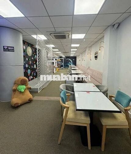NV PHỤC VỤ QUẬN TÂN BÌNH
