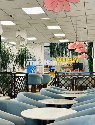 NV PHỤC VỤ QUẬN TÂN BÌNH