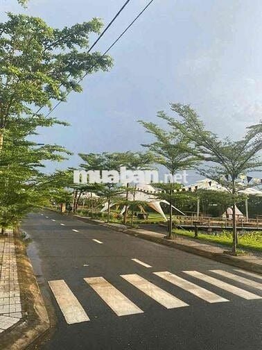 Đất Nền Giá SOCK Chỉ 690 Triệu Cạnh Chợ Tân Bình - Tân Triều
