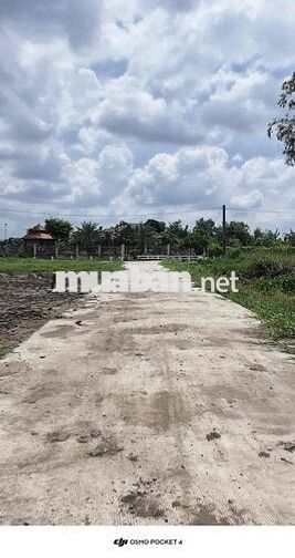 1150m2 có Sắn Thổ Cư chỉ 1 tỷ 150Tr Đường Bê Tông 5m. giáp Bến Lức