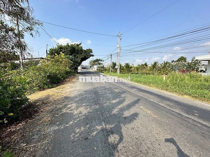 Nhựa Cao Thị Mai 5x55m thổ cư, sổ sẵn - Tân Trụ, Long An