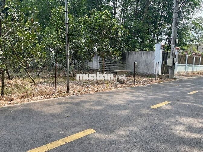 CHỦ NGỘP BÁN VƯỜN MÍT 5X50=250M2, SHR, THỔ CƯ, NGAY TTHC, GIÁ 420TR