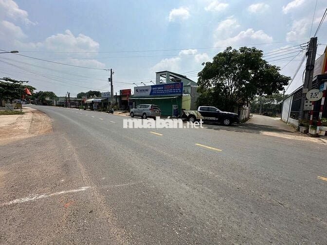 CHỦ NGỘP BÁN VƯỜN MÍT 5X50=250M2, SHR, THỔ CƯ, NGAY TTHC, GIÁ 420TR