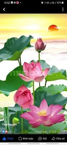 Cho thuê phòng tầng 3 áp mái tôn chống nóng trần thạch cao