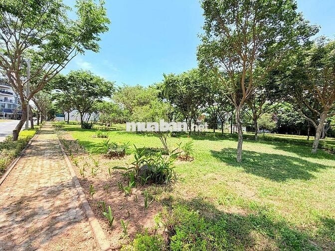 🌟 ĐẤT MT PHẠM XUÂN ẨN – NGANG 8.5M HIẾM – SÁT CÔNG VIÊN - QUÁ ĐẸP