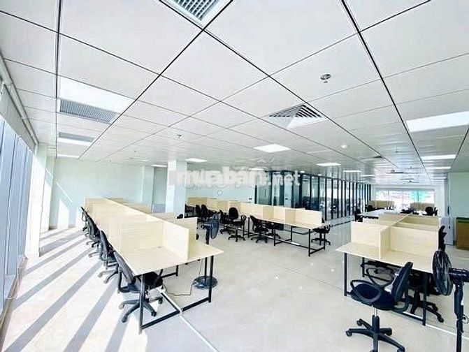 🏢 CHO THUÊ TÒA NHÀ VĂN PHÒNG ĐƯỜNG TRẦN CAO VÂN DT 8M X 25,5M QUẬN 1 🏢