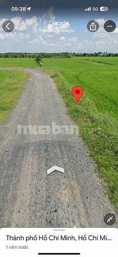 Bán đất Thái Mỹ Củ Chi diện tích lớn 830,8m2 - Thích hợp làm nhà vườn 