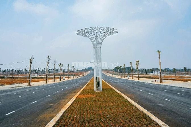 Bán lô ngoại giao từ chủ đầu tư Sao Mai Sao Vàng