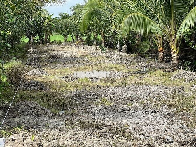 ĐẤT LONG PHƯỚC, LONG HỒ, VĨNH LONG - Bán 585m2 