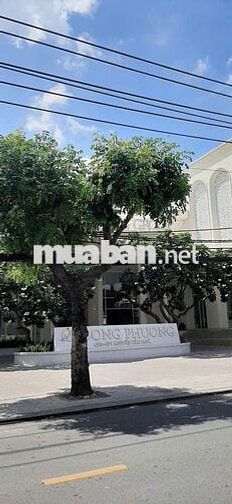 Bán Đất Mặt Tiền ĐHT 08 Q12 - 191m² Full Thổ Cư - Ngang 7m