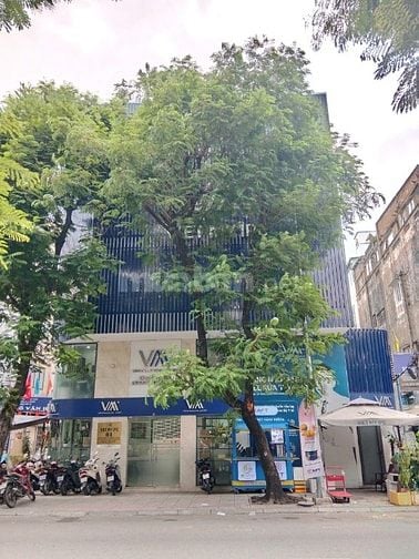 32 Tỷ RẺ NHẤT PHƯỜNG BẾN THÀNH - MT Yersin DT ngang 13,5m 5 Tầng