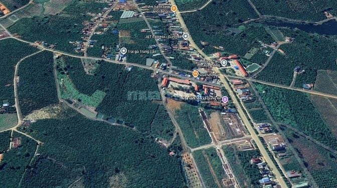 4545m² đất vườn view đồi, sổ sẵn. Yên tĩnh, an yên, phát triển dài hạn
