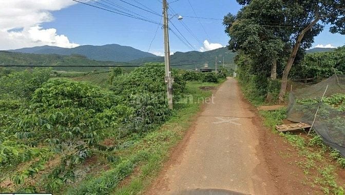 4545m² đất vườn view đồi, sổ sẵn. Yên tĩnh, an yên, phát triển dài hạn
