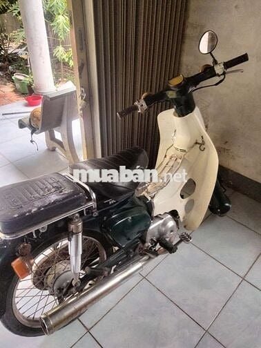 Honda Super Cub 50 Xanh trắng