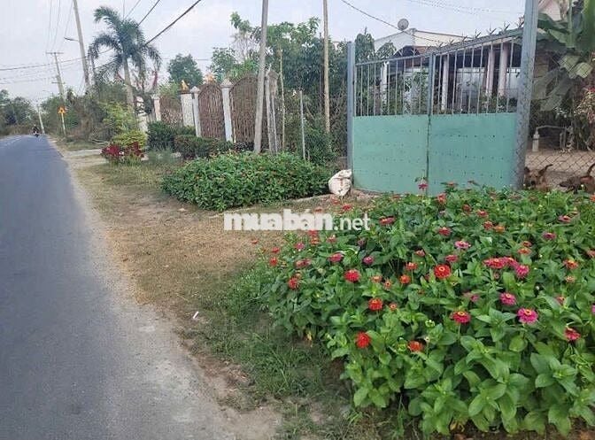 CHÍNH CHỦ BÁN ĐẤT ĐẤT CỦ CHI -  MẢNH ĐẤT SỐ 13 BÀU LÁCH