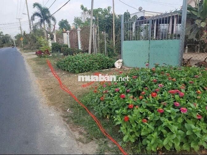 CHÍNH CHỦ BÁN ĐẤT ĐẤT CỦ CHI -  MẢNH ĐẤT SỐ 13 BÀU LÁCH
