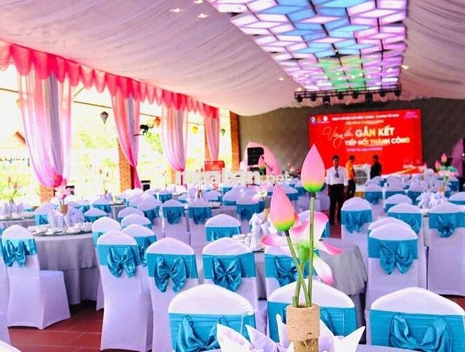 Kdl Sen Hồng cần tìm 2 đồng đội bộ Phận kỹ thuật