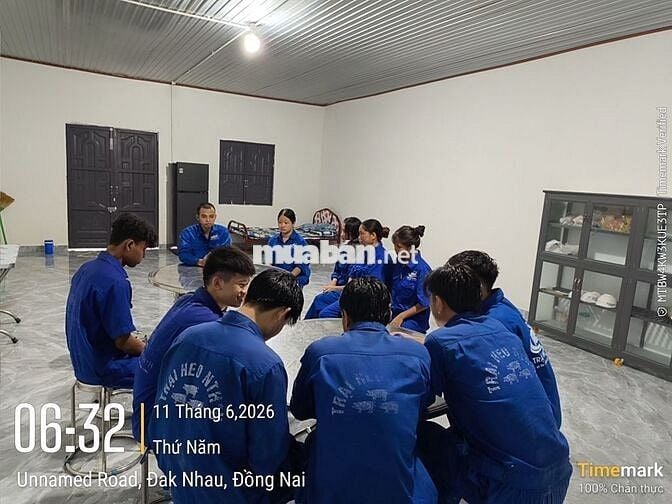 TUYỂN DỤNG CÔNG NHÂN TRẠI HEO 1200 NÁI SINH SẢN