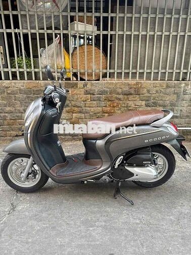 Scoopy 2023 Vàng Cát Nhập indo ( Hàng Bỏ Mẫu )