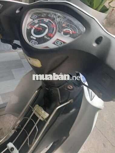 Xe máy Elygant 50cc Xanh trắng