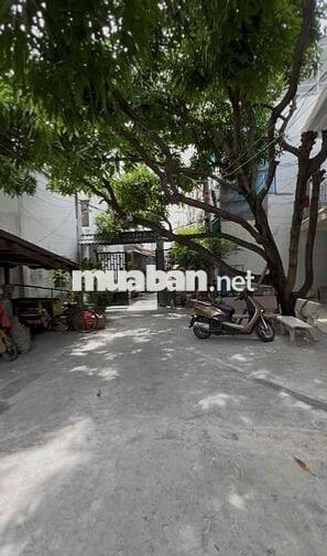 🏡 BÁN NHÀ MỚI LUNG LINH ĐƯỜNG PHẠM THẾ HIỂN, P3, Q8 – GIÁ 6.95 TỶ (TL)