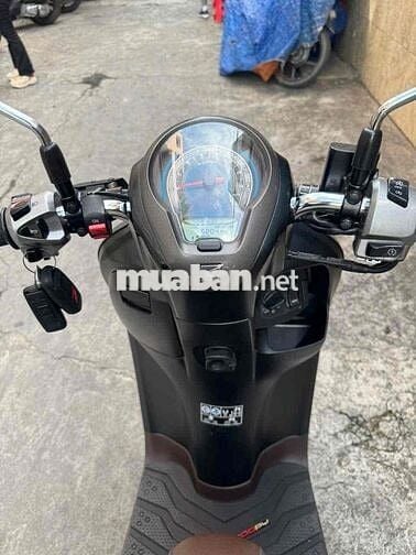 Scoopy 2023 Vàng Cát Nhập indo ( Hàng Bỏ Mẫu )