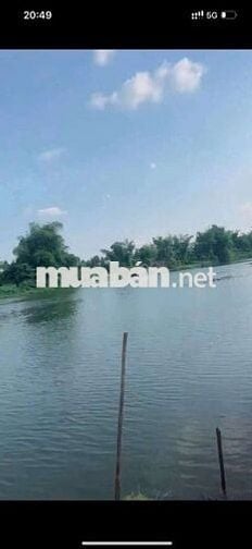 🌿 VƯỜN SẦU RIÊNG VIEW SÔNG BÉ
💰 CHỈ 1 TỶ 950 TRIỆU