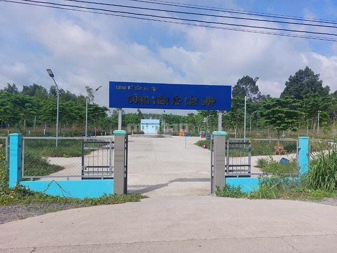 BÁN GẤP ĐẤT THỊ TRẤN CỦ CHI 353M², GẦN CÔNG VIÊN CÂY SỘP GIÁ 1,39 TỶ