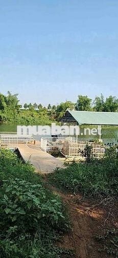 🌿 VƯỜN SẦU RIÊNG VIEW SÔNG BÉ
💰 CHỈ 1 TỶ 950 TRIỆU